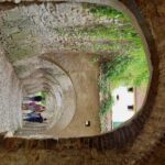 From Cluj: Sighioara and Church of Biertan Guided Tour - What You’ll Experience at Each Stop