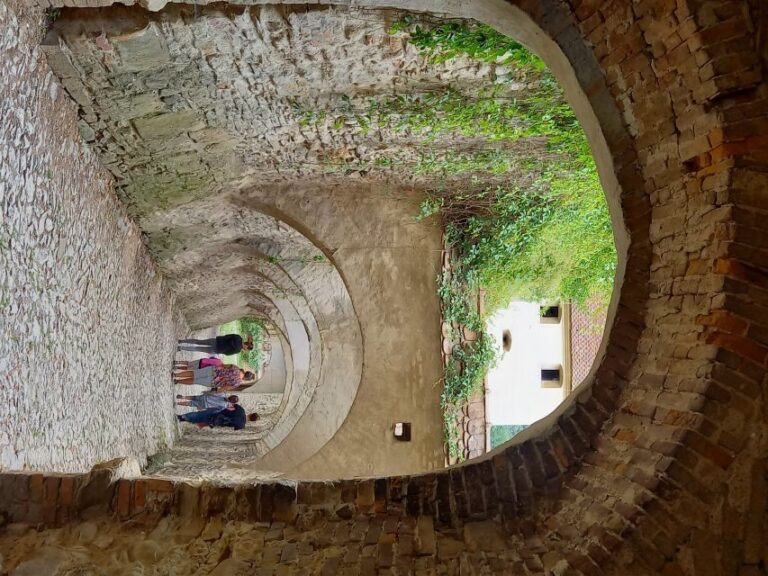 From Cluj: Sighioara and Church of Biertan Guided Tour - What You’ll Experience at Each Stop