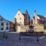 From Colmar: Alsace wine route tour Half Day - Authentic Experiences and Guest Insights