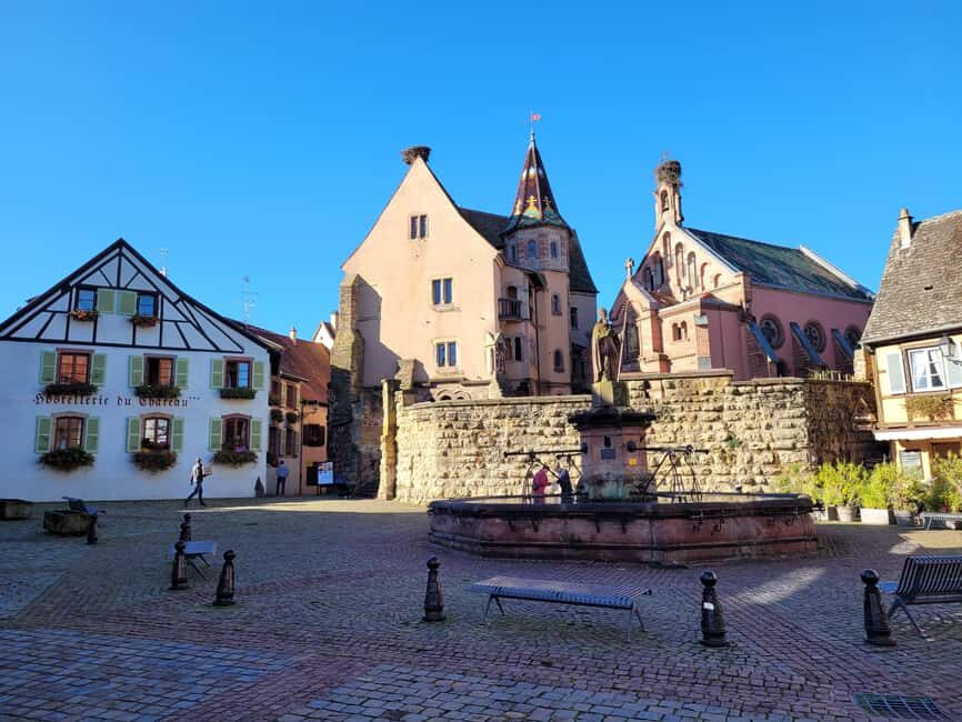 From Colmar: Alsace wine route tour Half Day - Authentic Experiences and Guest Insights