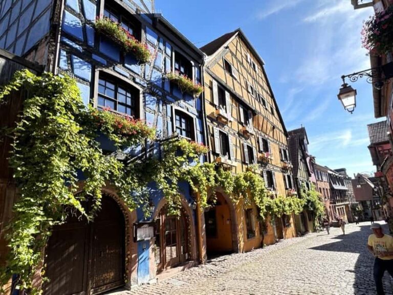 From Colmar: Private excursion to Alsace villages and wines with a local guide - The Practical Side: Price, Duration & Logistics