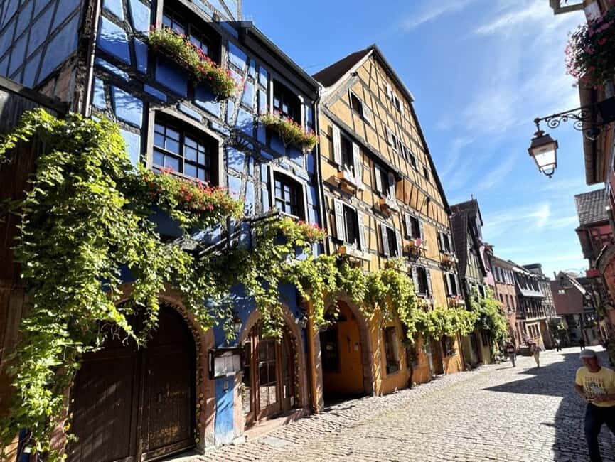 From Colmar: Private excursion to Alsace villages and wines with a local guide - The Practical Side: Price, Duration & Logistics