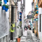 From Costa del Sol: Day Trip to Cordoba Free Time - Highlights in Córdoba: Making the Most of Your Free Time