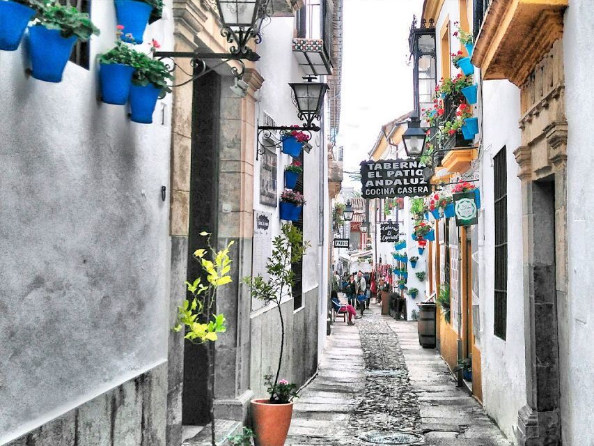 From Costa del Sol: Day Trip to Cordoba Free Time - Highlights in Córdoba: Making the Most of Your Free Time