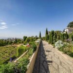 From Costa del Sol or Malaga: Granada and Alhambra Tour - What You’ll Love About This Tour