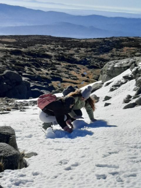 From Covilhã: Tour Serra da Estrela e Covão d'metade - The Guide and Transportation