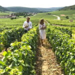 From: Dijon/Beaune: Burgundy Region Winery Tour with Lunch - Exploring Burgundy’s Iconic Villages and Vineyards