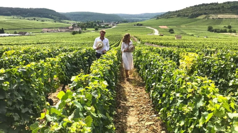 From: Dijon/Beaune: Burgundy Region Winery Tour with Lunch - Exploring Burgundy’s Iconic Villages and Vineyards