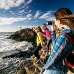 From Dublin: Giant's Causeway, Dark Hedge & Belfast Tour - The Dark Hedges: Nature’s Tunnels and Game of Thrones Fame