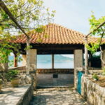 From Dubrovnik to Bosnia: Trsteno & Vjetrenica Cave Day Tour - In-Depth Breakdown of the Itinerary