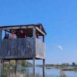 From Durres: Karavasta Lagoon Adventure Boat Tour & Wildlife - Stop 2: Karavasta Lagoon