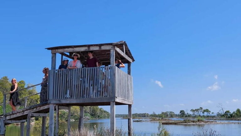 From Durres: Karavasta Lagoon Adventure Boat Tour & Wildlife - Stop 2: Karavasta Lagoon