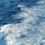 From Edinburgh: 6-Day Shetland & Nothernmost Explorer - Final Thoughts