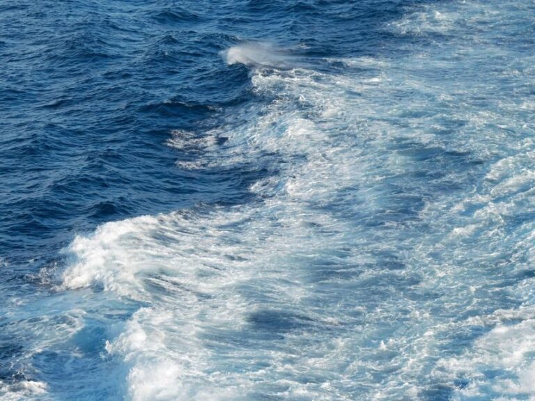 From Edinburgh: 6-Day Shetland & Nothernmost Explorer - Final Thoughts