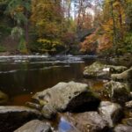 From Edinburgh: Best of Scotland Small-Group Day Tour - Transportation and Group Experience