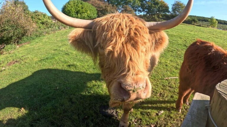 From Edinburgh: Highlands Land Rover Camping Adventure - Day-by-Day Breakdown