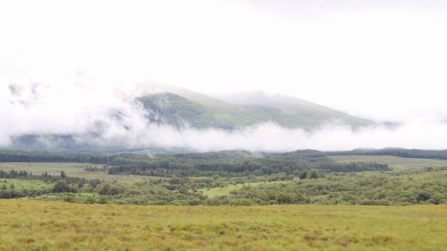 From Edinburgh: Loch Ness and Highlands Tour in Spanish - What Makes This Tour Stand Out?