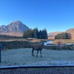 From Edinburgh: The Kelpies, Glencoe & Loch Lomond Day Tour - What We Love About This Tour