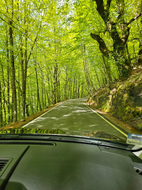 From Fafe: Full-day Tour in Gerês National Park - Who Would Love This Tour?
