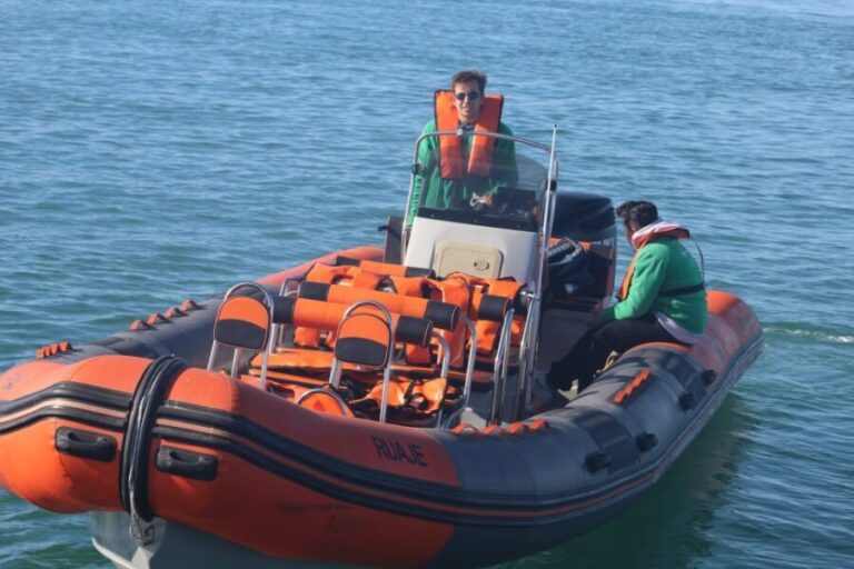 From Faro: Dolphin Watching & 2 Islands Tour - The Scenic Ria Formosa & Dolphin Spotting