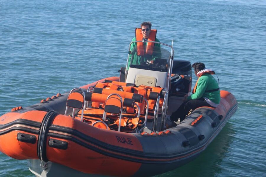 From Faro: Dolphin Watching & 2 Islands Tour - The Scenic Ria Formosa & Dolphin Spotting