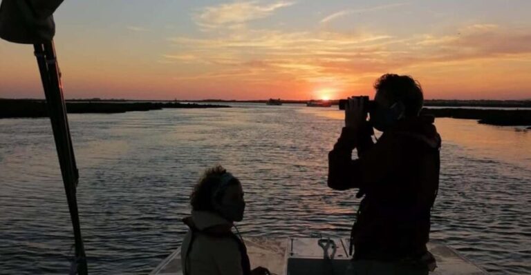 From Faro: Ria Formosa Sunset Boat Trip - Who Will Love This Tour?