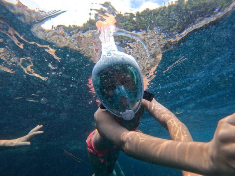 From Fazana: Rovinj full day Private boat tour - Who Would Love This Tour?