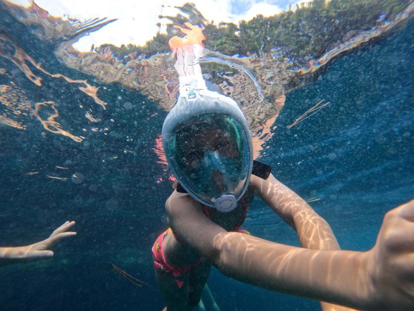 From Fazana: Rovinj full day Private boat tour - Who Would Love This Tour?