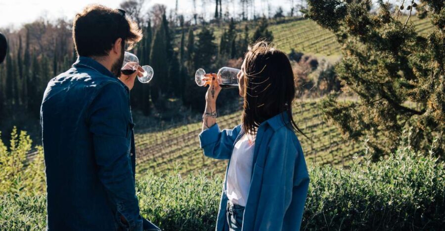 From Florence: Chianti Hills Half-Day Tour with Wine Tasting - What We Like & What to Consider