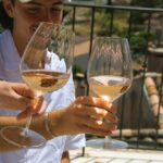 From Fréjus: Van tour to the heart of the Provençal vineyards - Who Will Enjoy This Tour?