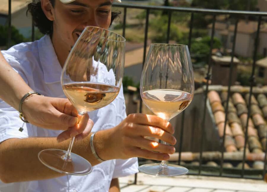 From Fréjus: Van tour to the heart of the Provençal vineyards - Who Will Enjoy This Tour?