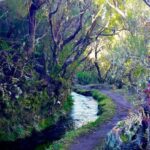 From Funchal: Madeira Lakes Levada Guided Hike - The Itinerary in Detail