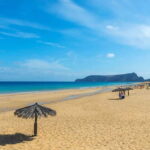 From Funchal: Porto Santo 1-Day Cruise and Tour - The Sum Up