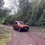 From Funchal: Private Eastern or Western Jeep Tour - The Sum Up