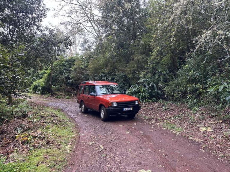 From Funchal: Private Eastern or Western Jeep Tour - The Sum Up