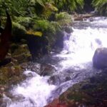 From Funchal: São Jorge Valleys Levada Walk - Why Travelers Love This Experience