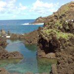 From Funchal: West Madeira Waterfalls and Fanal Forest Tour - What Makes This Tour Worth Considering