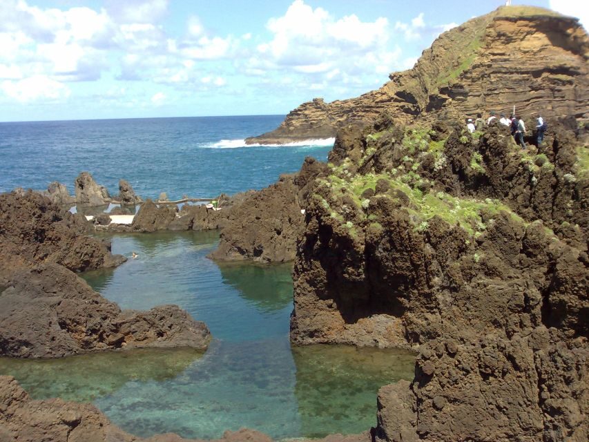 From Funchal: West Madeira Waterfalls and Fanal Forest Tour - What Makes This Tour Worth Considering