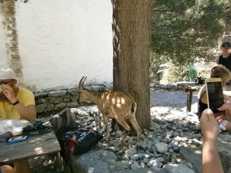 From Georgioupolis: Roundtrip Transfer to Samaria Gorge - Final Thoughts