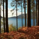 From Glasgow: Stirling Castle & Loch Lomond Tour with Cruise - What This Tour Means for You