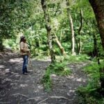 From Glastonbury: 2-Day Tintagel, Boscastle & Dartmoor Tour - The Experience: Quality, Comfort, and Authenticity