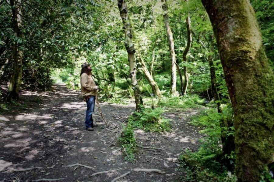 From Glastonbury: 2-Day Tintagel, Boscastle & Dartmoor Tour - The Experience: Quality, Comfort, and Authenticity