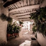 From Granada: Alpujarra Region Full Day Tour - The Practical Side: Transport, Guides, and Timing