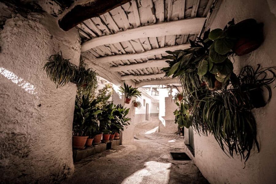 From Granada: Alpujarra Region Full Day Tour - The Practical Side: Transport, Guides, and Timing