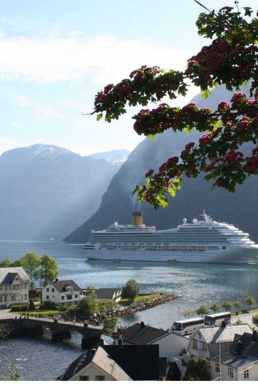 From Hellesylt: The Best of Geiranger Shore Excursion - What Sets This Tour Apart?