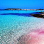From Hersonissos: Elafonisi Pink Beach Day Trip in Crete - The Value of the Tour