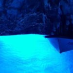 From Hvar: Vis Island and Blue Cave Speedboat Tour - Authentic Insights from Travelers