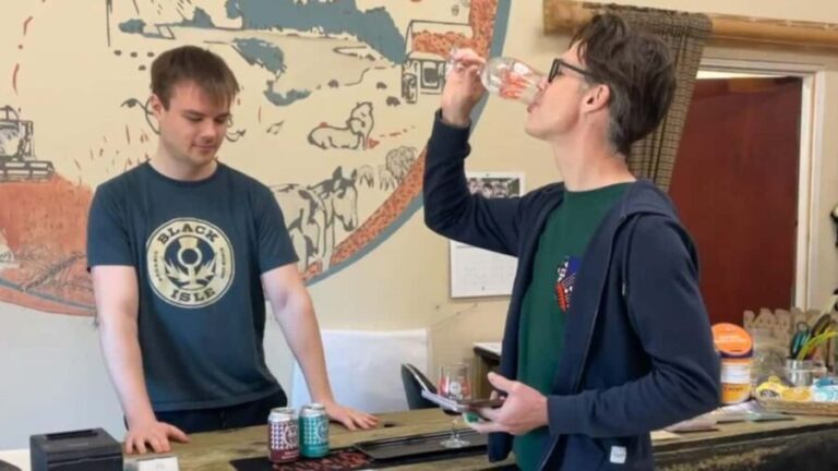 From Inverness: Black Isle Tour with Dolphin Spotting - An In-Depth Look at the Black Isle Tour