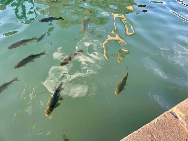 from Istanbul: anlurfa, Göbeklitepe & Balklgöl Day Trip - Itinerary Breakdown and What to Expect