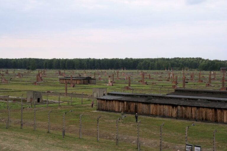 From Katowice: Auschwitz-Birkenau Skip-the-Line Guided Tour - Who will benefit most from this experience?